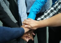 employee engagement software employee engagement software