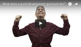 setting development goals